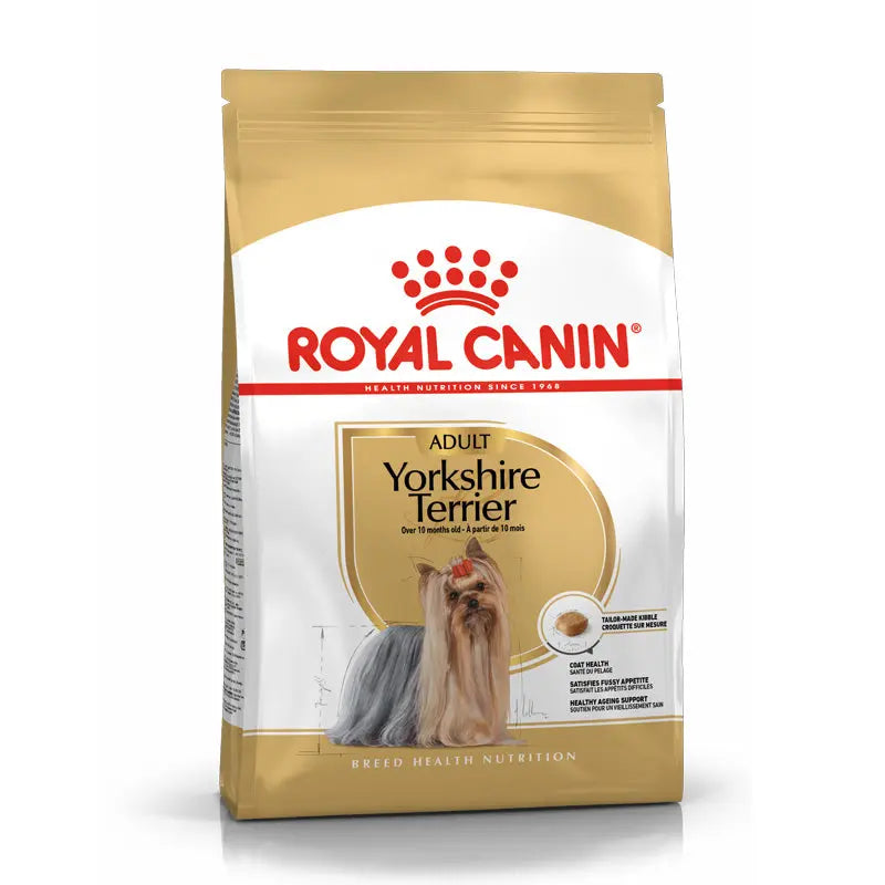 Adult Yorkshire Terrier 1,5 kg