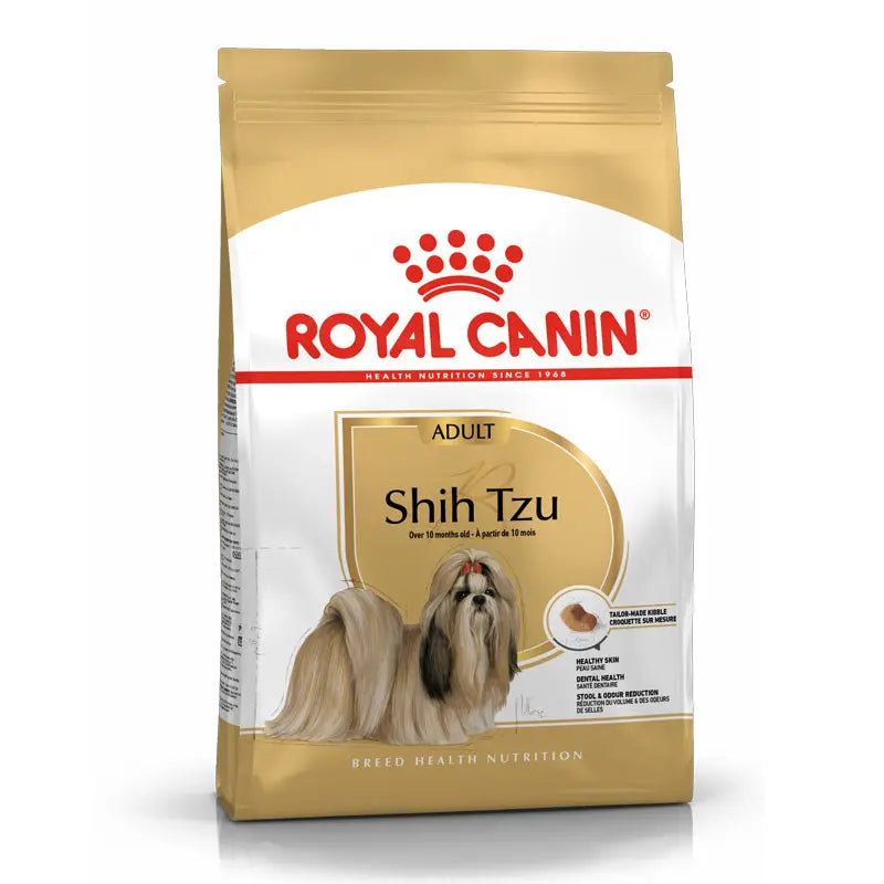 Adult Shih Tzu