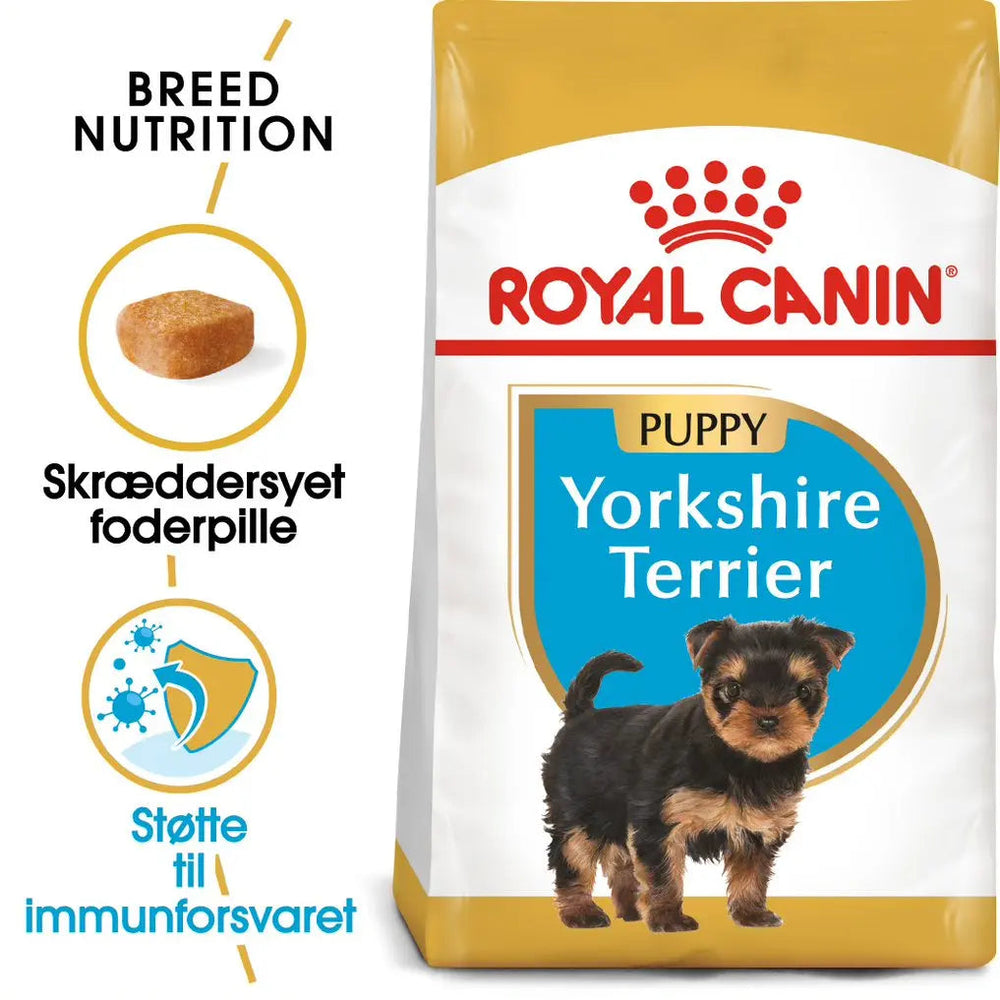 Yorkshire Terrier Puppy 1,5 kg