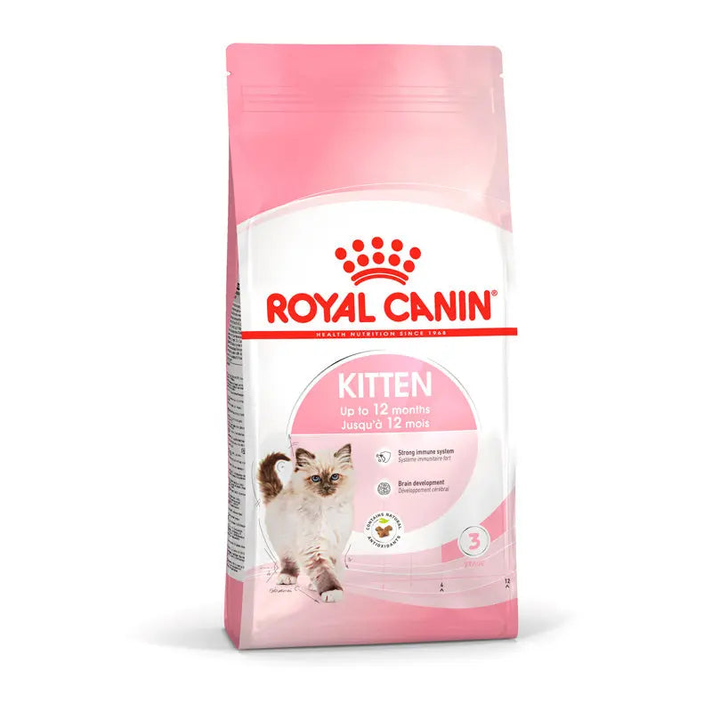 Kitten Digestive Health