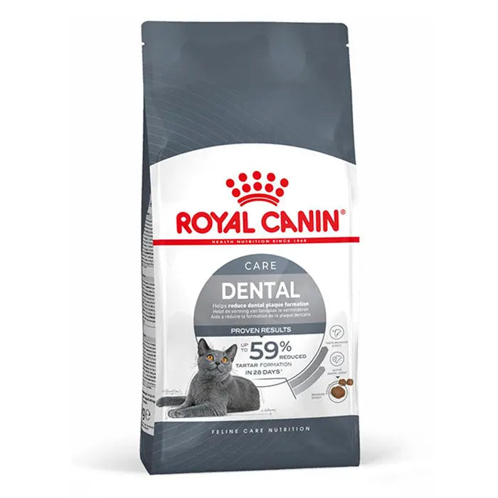 Adult Dental Care