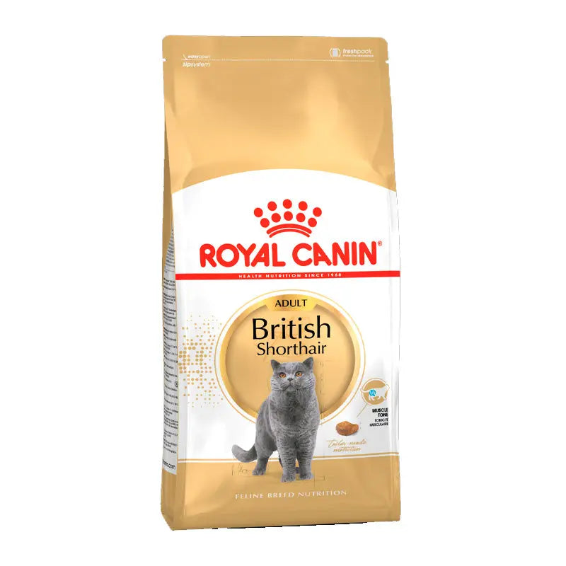 Adult > 12 British shorthair 400 g