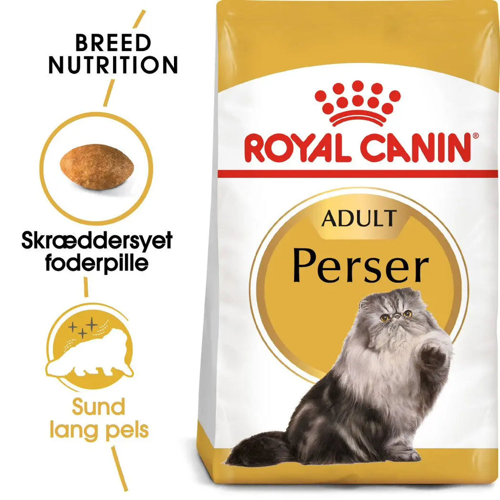 Adult Persian