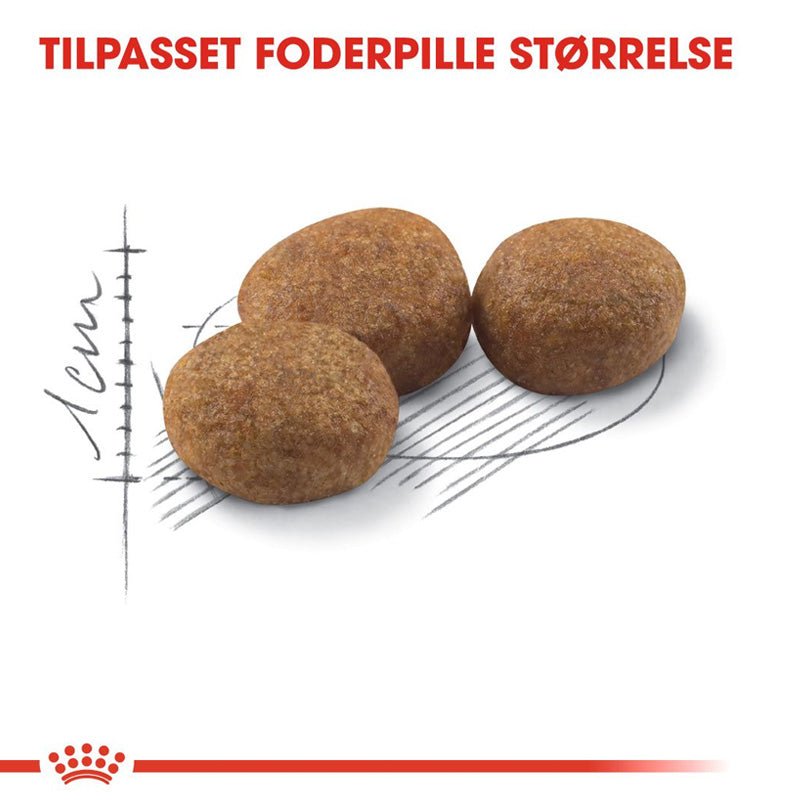 Adult Sterilised bonus 10 + 2 kg