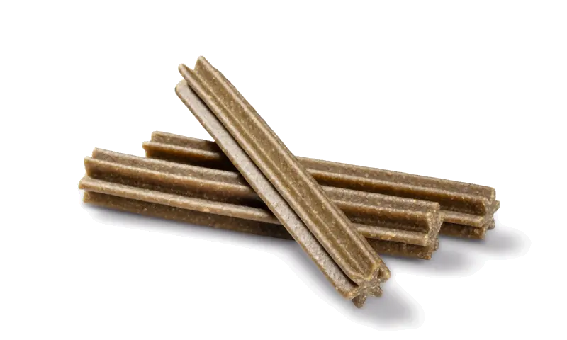 Dental Care Sticks Medium mint 28 stk