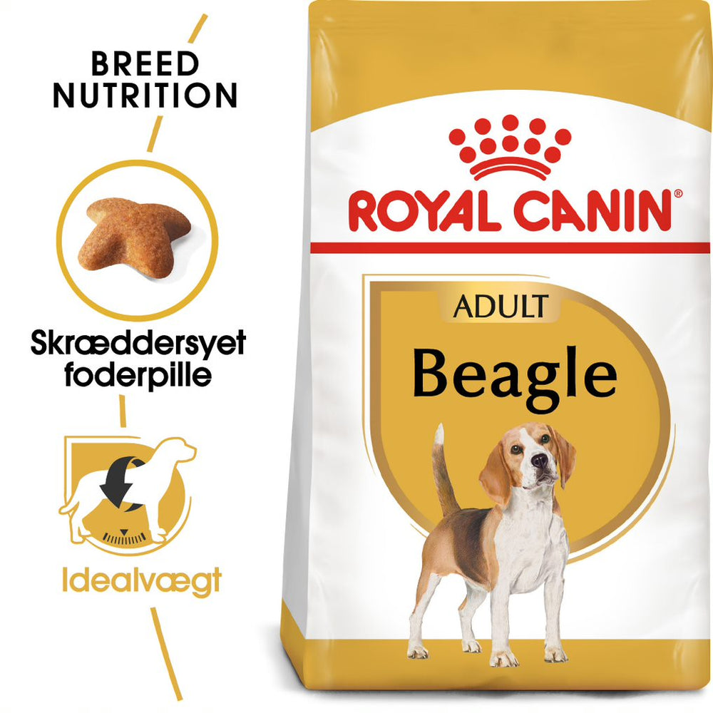 Adult Beagle 12 kg