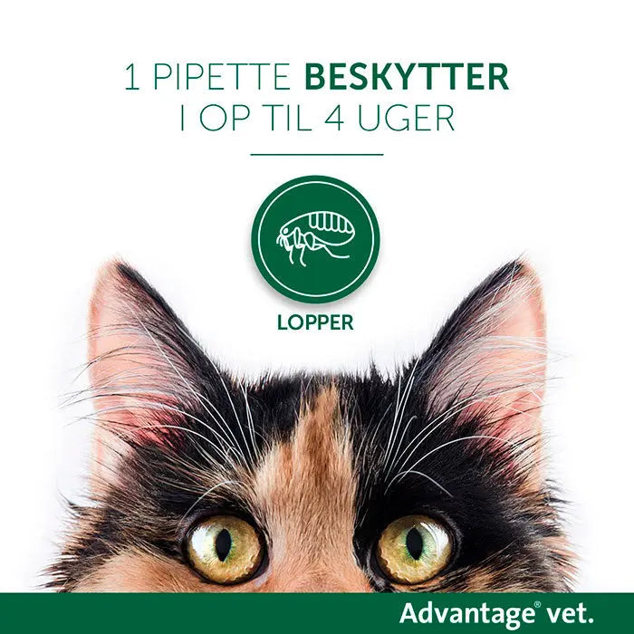 ADVANTAGE VET Loppemiddel kat under 4 kg - 4x0,4 ml