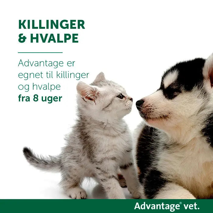 ADVANTAGE VET Loppemiddel kat under 4 kg - 4x0,4 ml