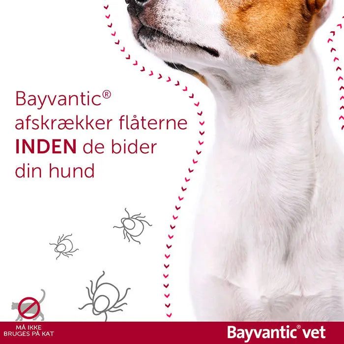 BAYVANTIC VET Flåt- & loppemiddel hund under 4 kg - 4x0,4ml