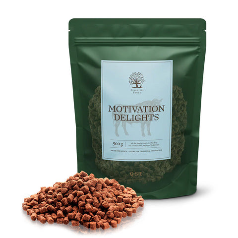 Træningsgodbidder Motivation Delight's 500 g