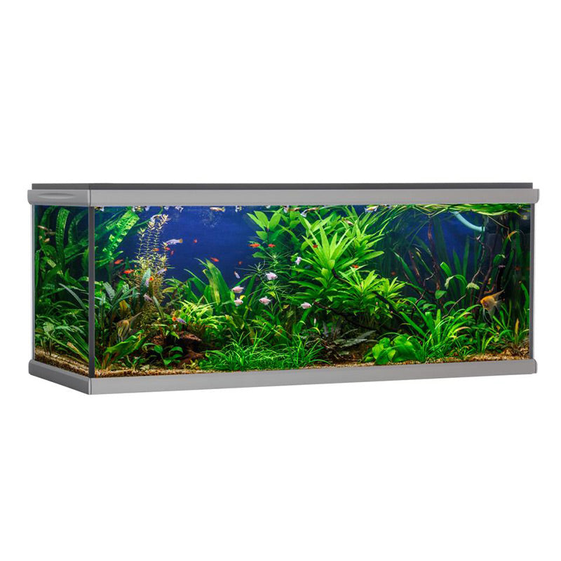 Akvarium Move 576 l, 160x60x64 cm sort