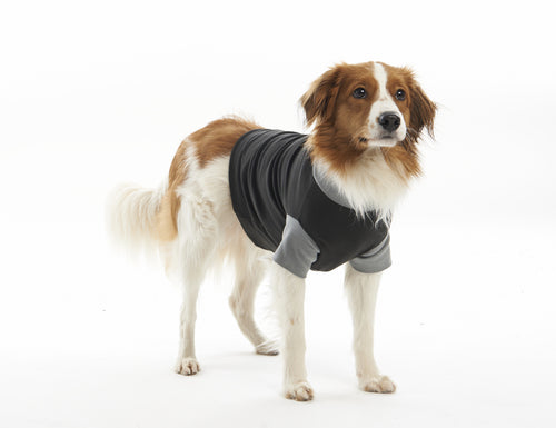 Body Suit EasyGO S 41 cm sort/grå