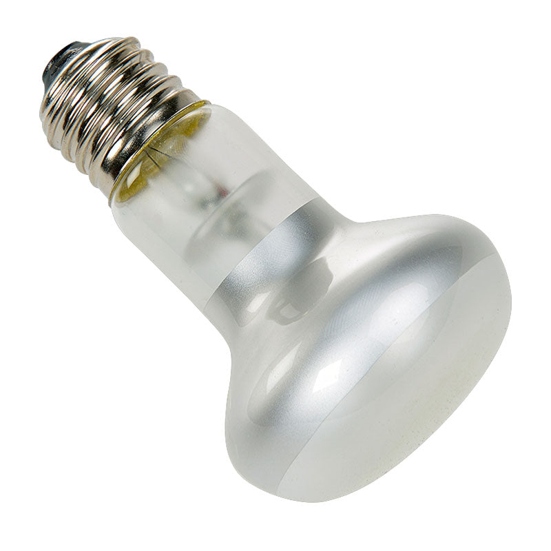Spotlampe 50 w