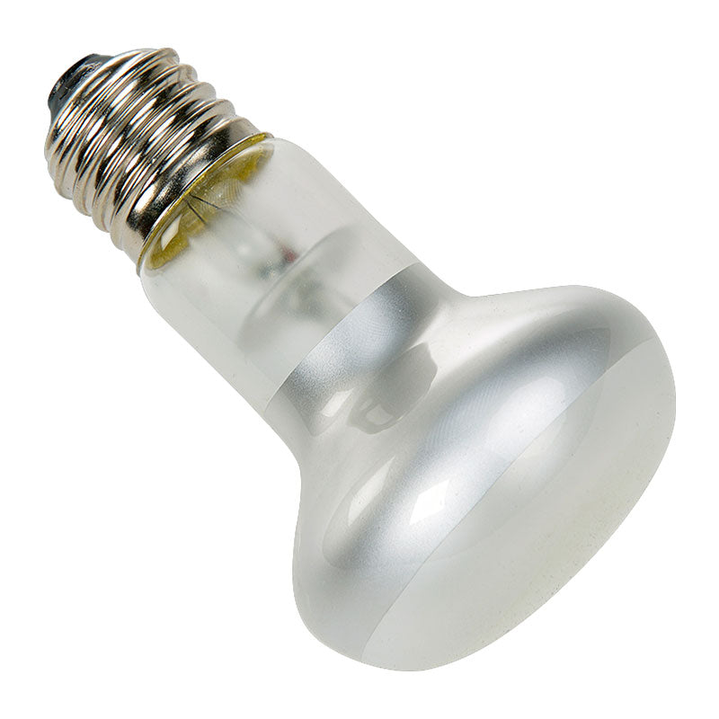 Spotlampe 100 w