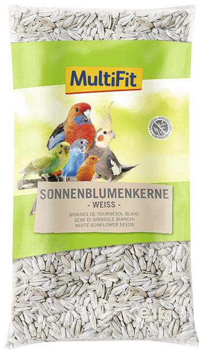 Hvide solsikkefrø 1 kg