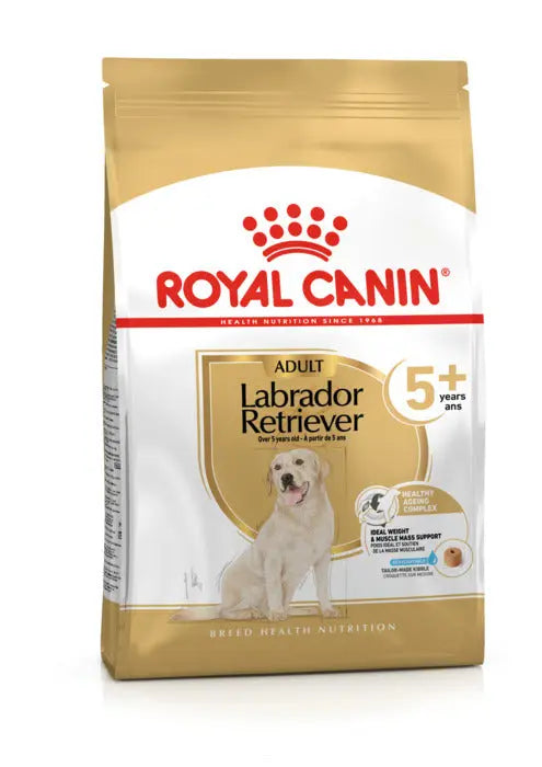 Adult Labrador Retriever 5+ 12 Kg