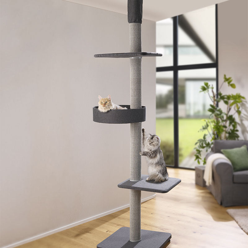 Kradsetræ Alma85x60x234-259 cm