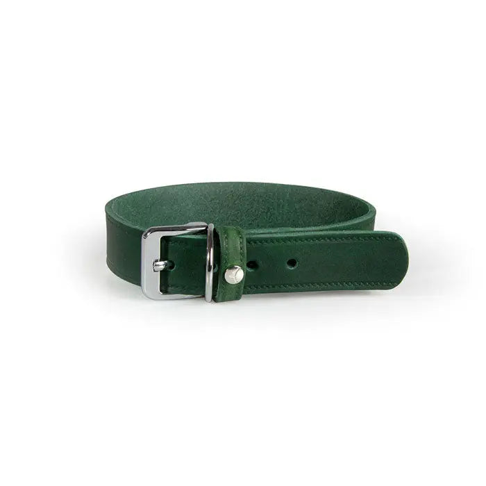 Læder halsbånd Weinheim 42-48 cm grøn bred
