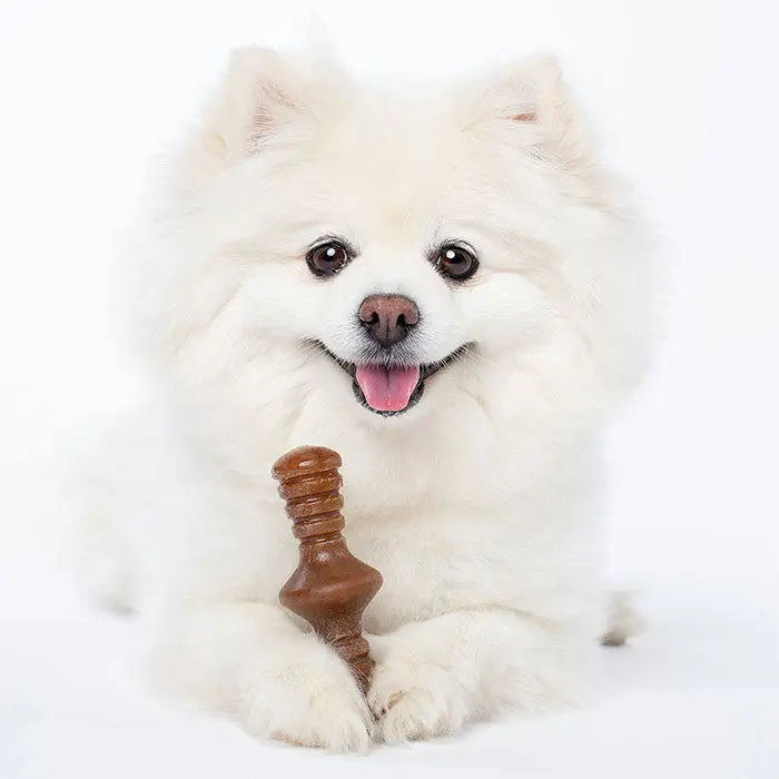 Puppy Maplestick/Zaggler sæt bacon