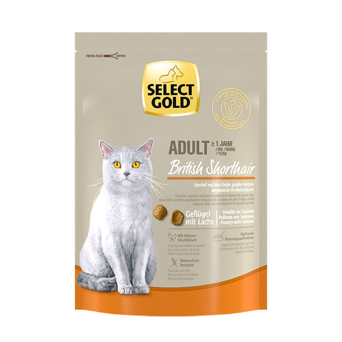 Adult British Shorthair Fjerkræ & laks