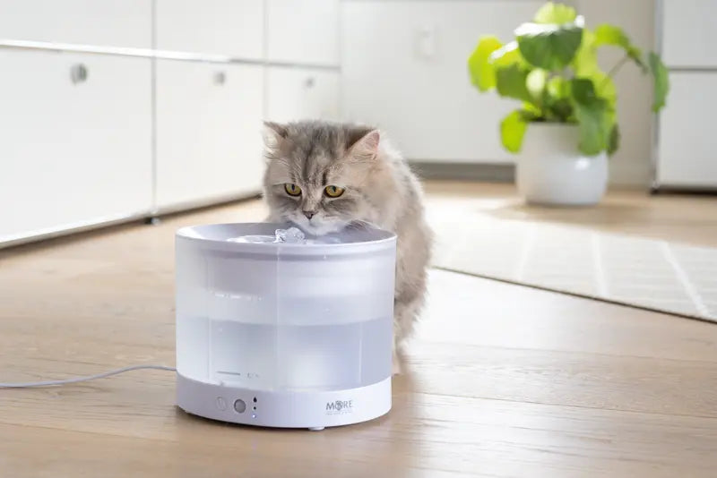 Drikkefontæne Cloud ca. 2,3 l