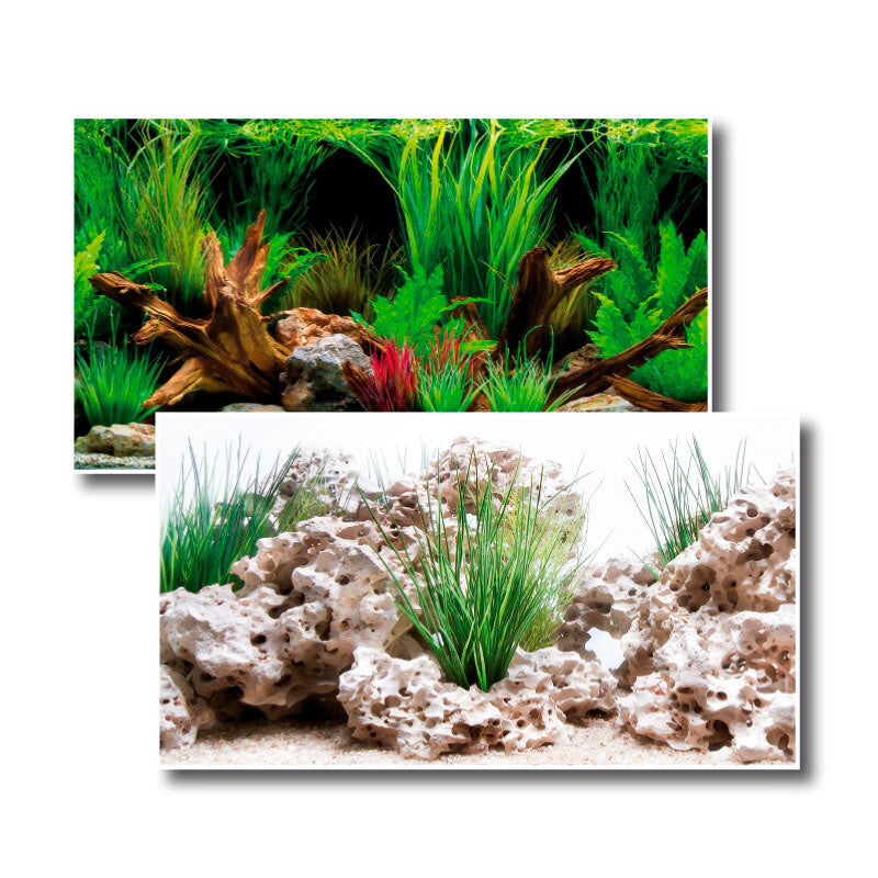 Akvariebaggrund Wonder 30x60 cm