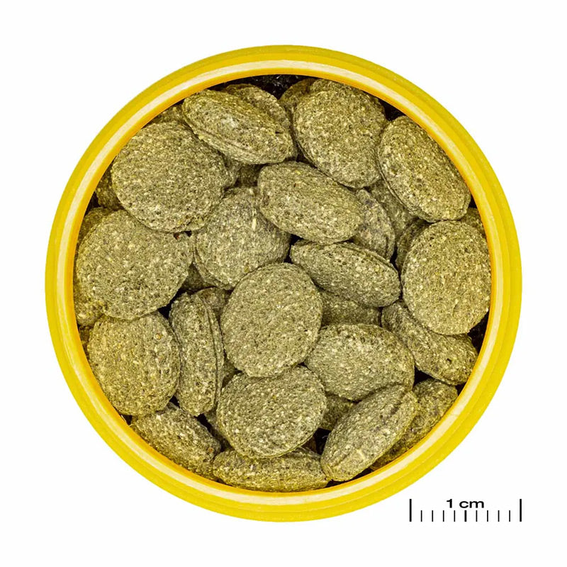 Pronovo Pleco skægfisk tabl. M 100 ml