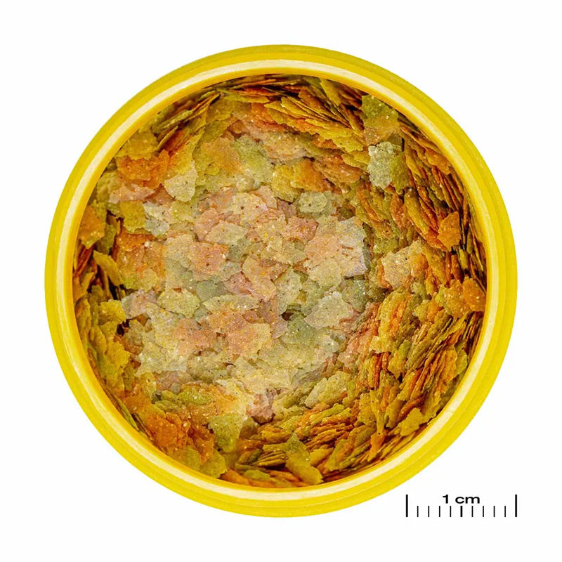 Pronovo Betta Flagers 100 ml