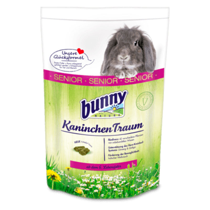 RabbitDream senior