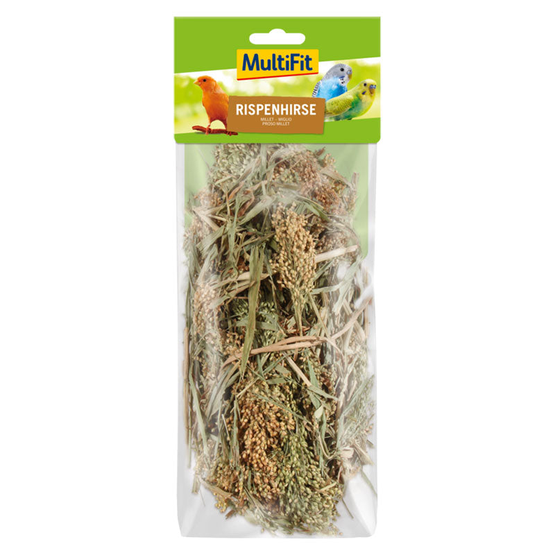 Hirsesnack 100  g