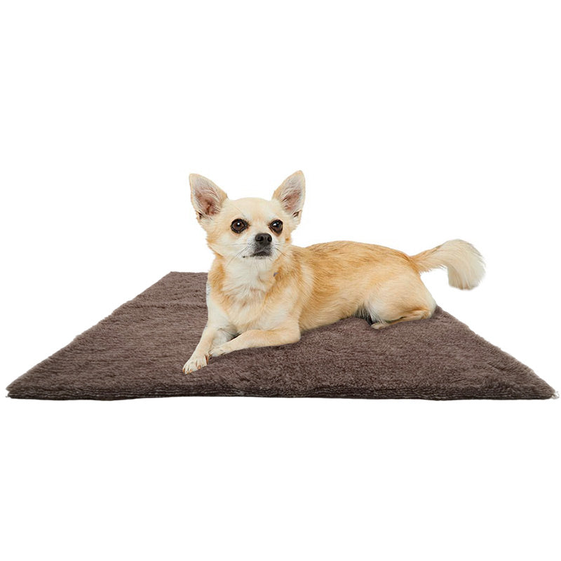 Vet bed