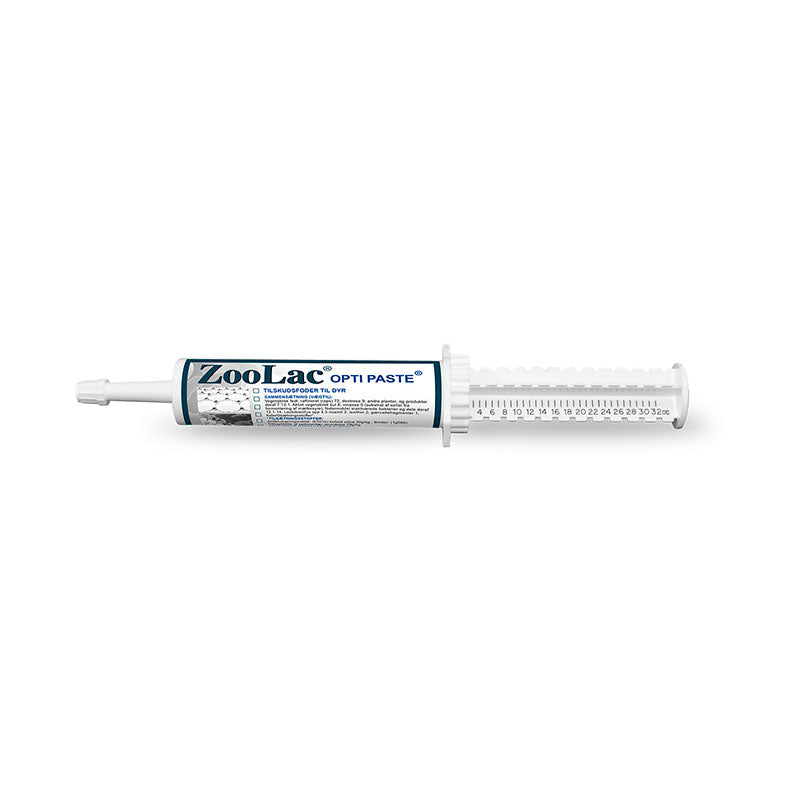 Opti Paste 32 ml