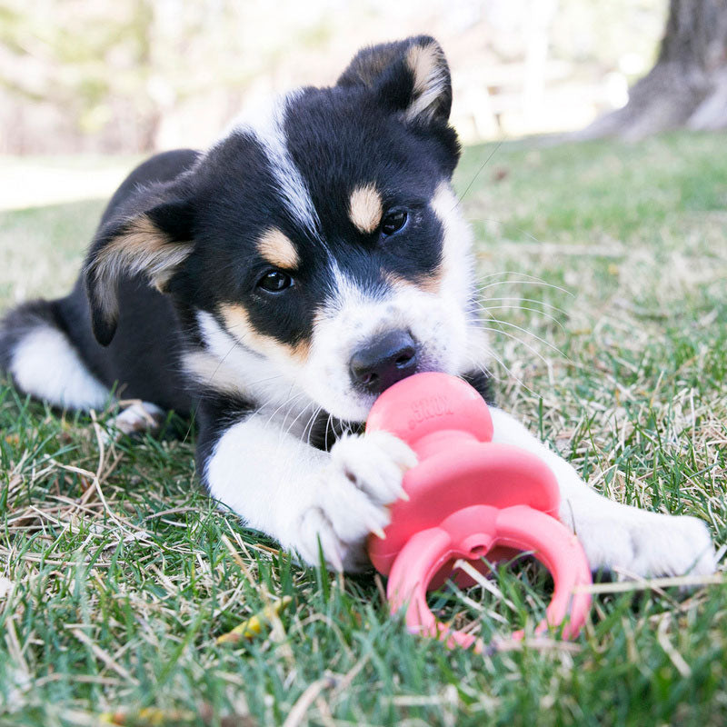 Puppy Binkie