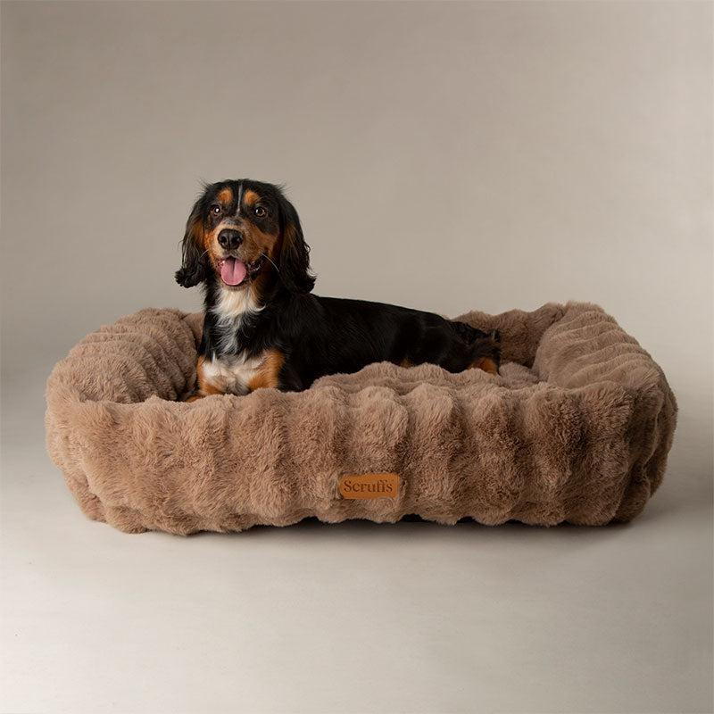 Alpine Box Bed Taupe