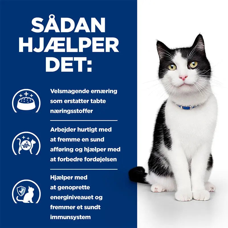 Diætetisk Feline i/d laks 12x85 g