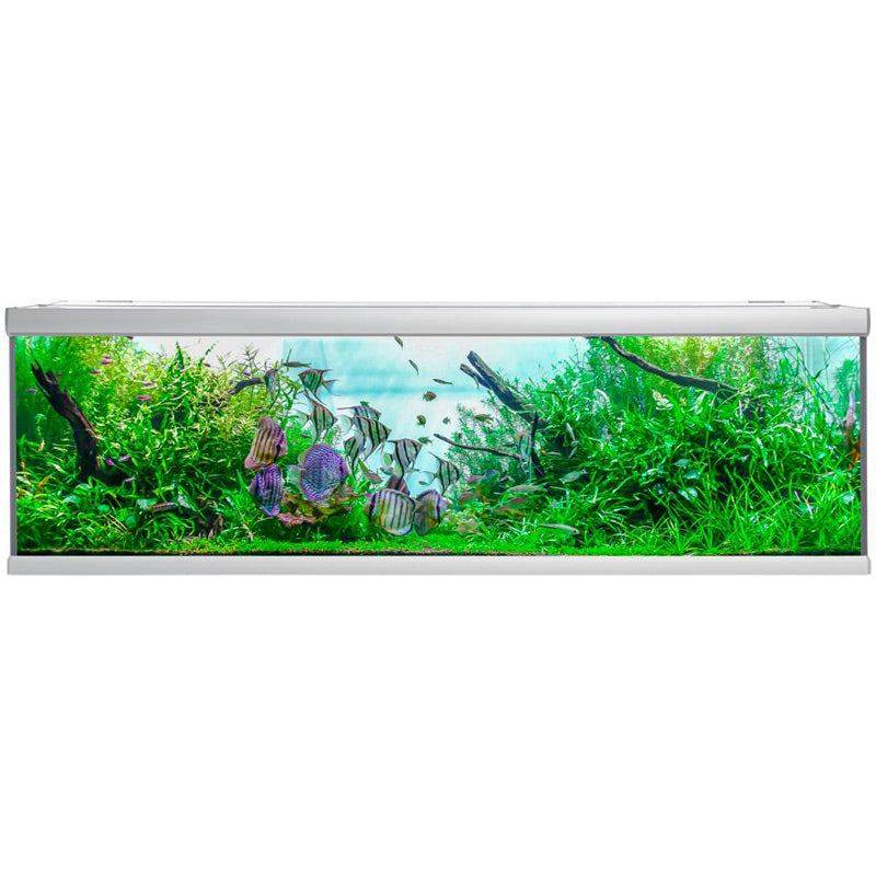 Akvarium Fusion