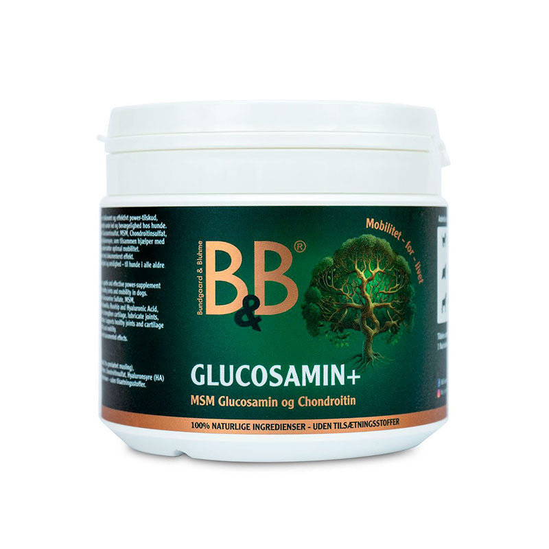 Glucosamin+ 250 g