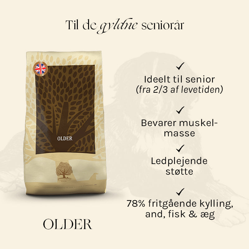 Senior Older