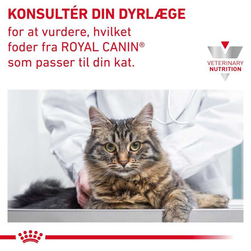 VHN Derma Hypoallergenic 2,5 kg