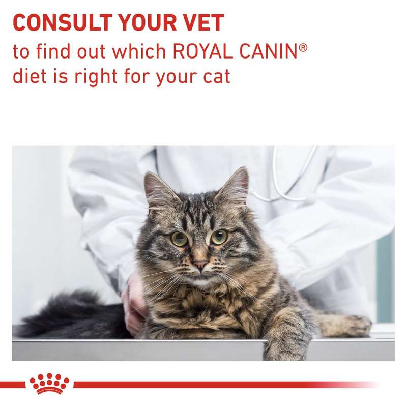 VHN Gastrointesti.Fibre Resp. 2 kg