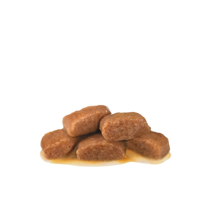 VHN Gastrointesti.Fibre Resp. Gravy Pouch 12x85 g
