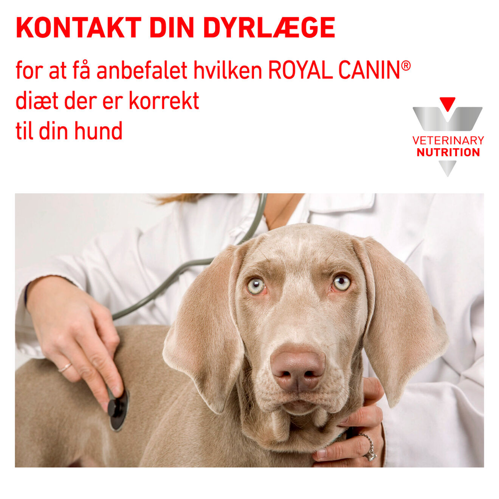 VHN Derma Hypoallergenic 2 kg