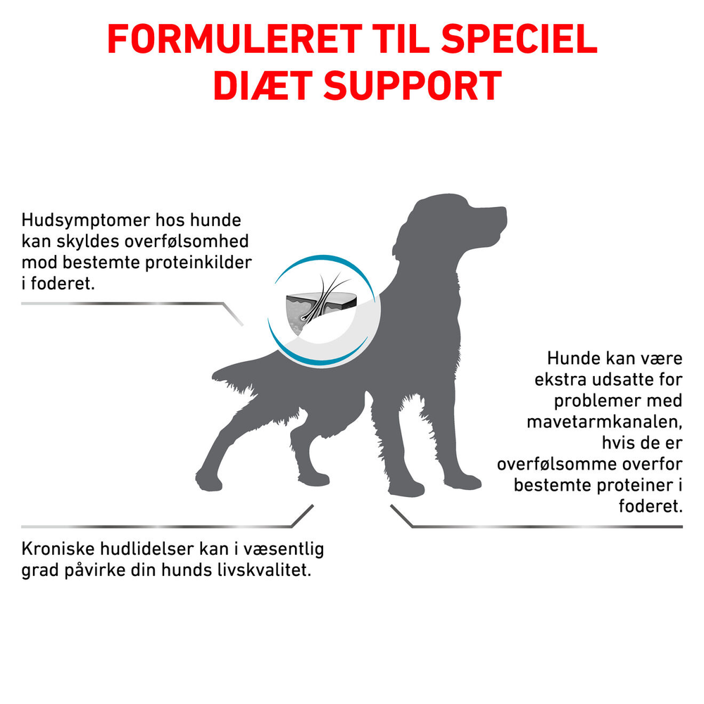 VHN Derma Hypoallergenic 2 kg