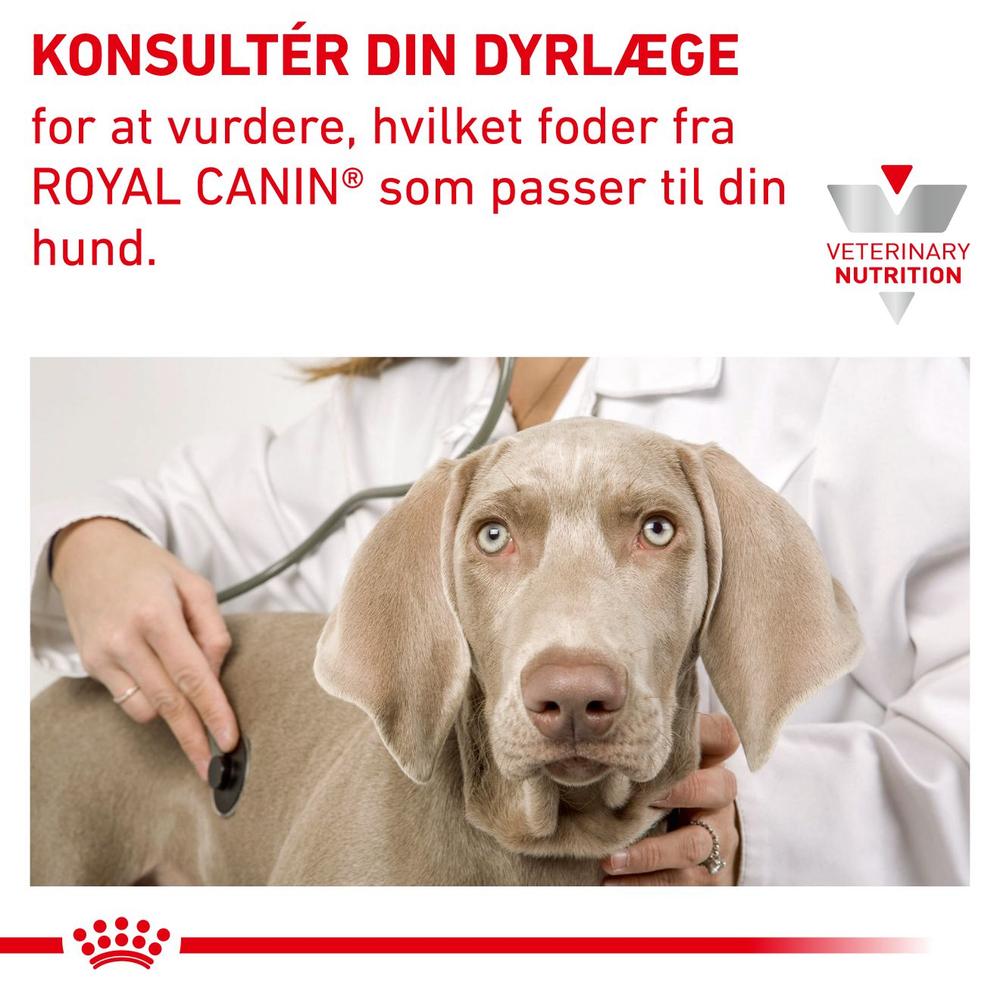VHN Derma Skin Care Dog 2 kg