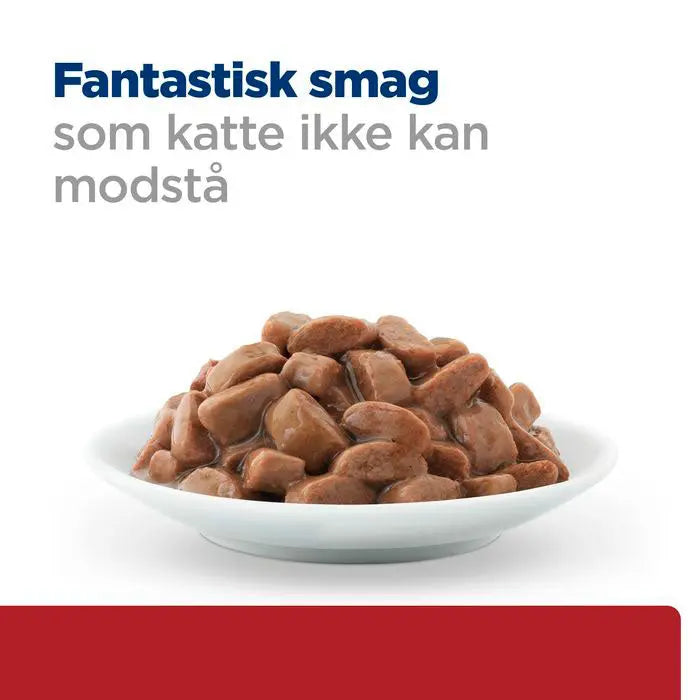 Diætetisk fuldfoder Digestive Care i/d 12x85 g