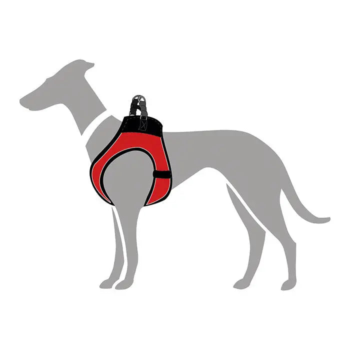 Hunter Hilo Comfort Hundesele hals 35-37cm bryst 36-40cm rød