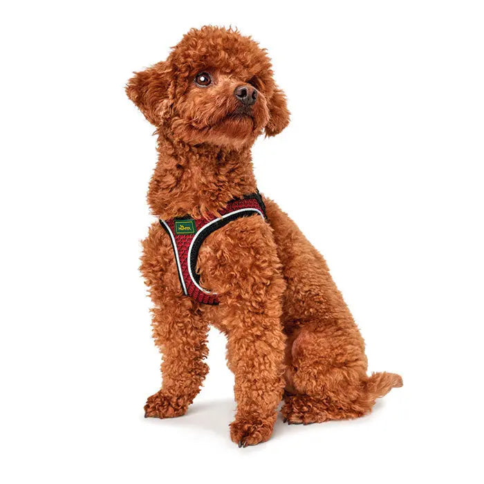 Hunter Hilo Comfort Hundesele hals 42-48cm bryst 46-52cm rød