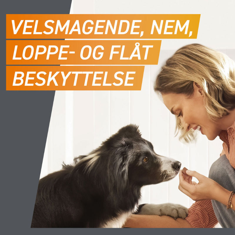 Flåt- & loppemiddel tyggetabletter hund 10-25 kg - 3 stk/pk