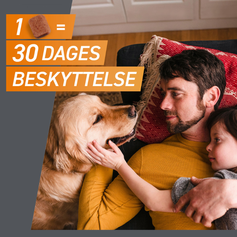 Flåt- & loppemiddel tyggetabletter hund 25-50 kg - 3 stk/pk